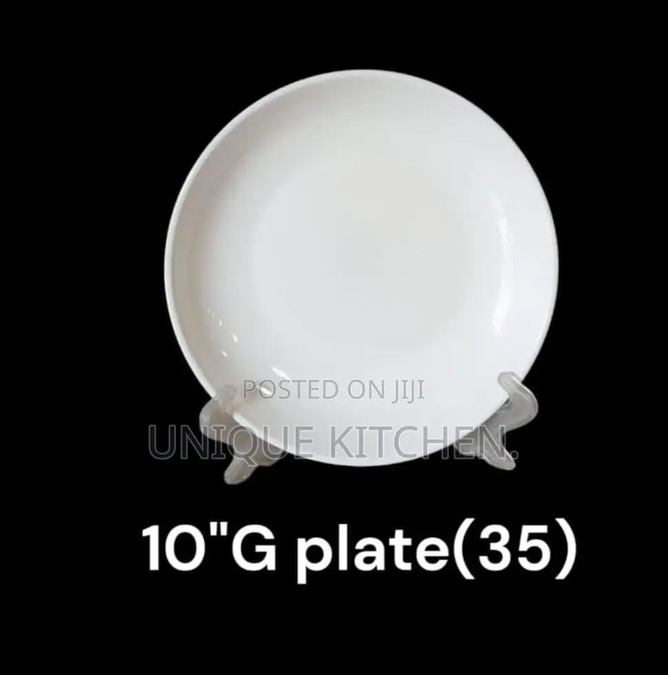 10" 30pcs Dinner Plate