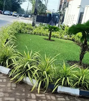 HORTICULTURE- Hard Scape and Soft Scape