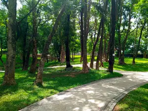 HORTICULTURE- Hard Scape and Soft Scape