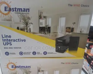 Eastman Line Interactive Ups 650va