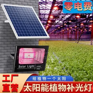 100watts Solar Floodlight