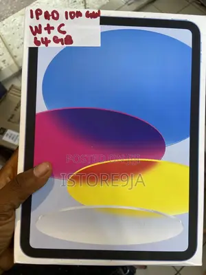New Apple iPad (2022) 256 GB Gray