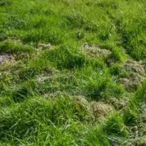 1155sqm Commercial Land (Sandfilled Fenced)