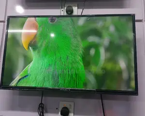 Maxi Television