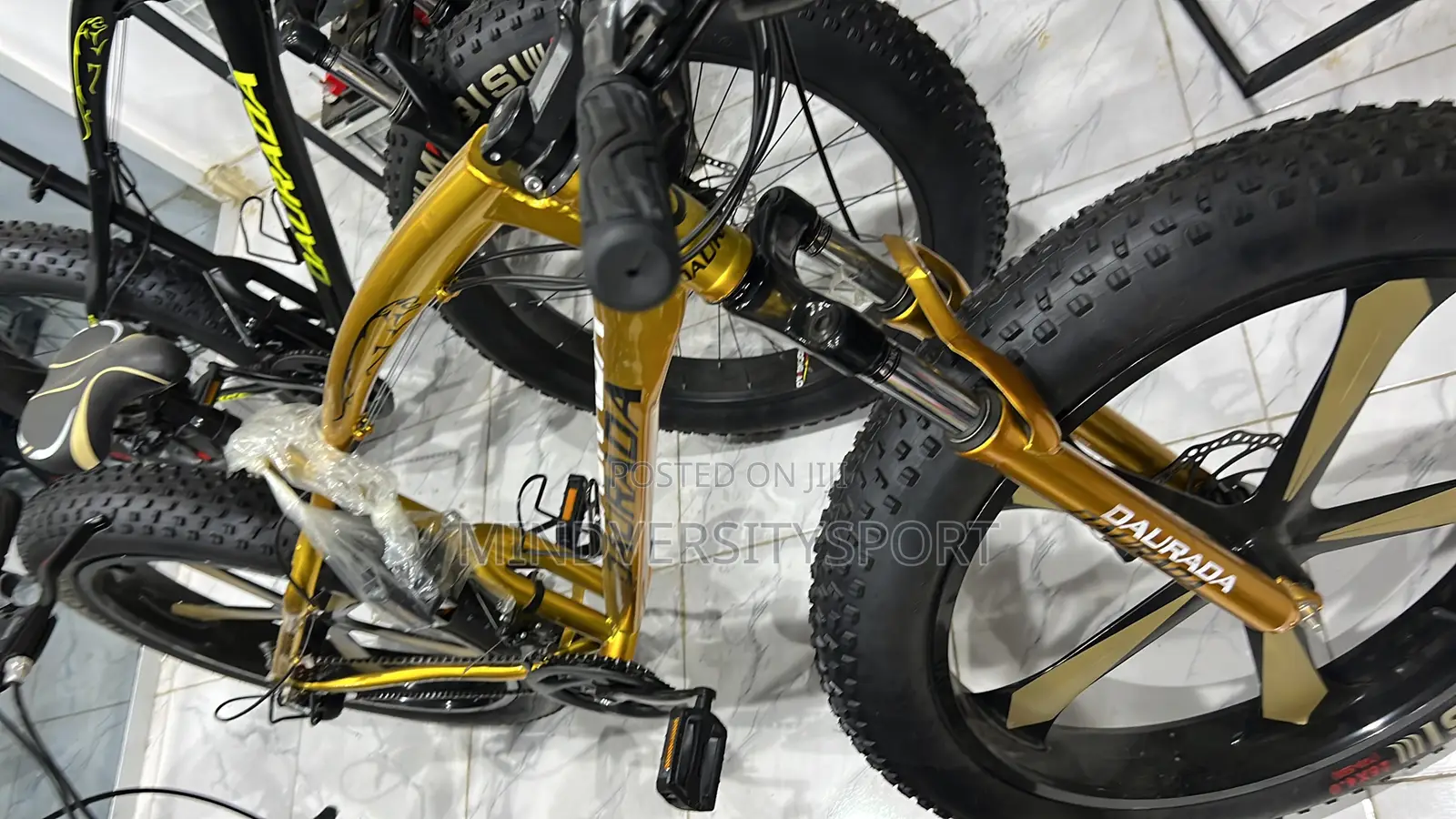 Fat Giant Tyre Bicycle
