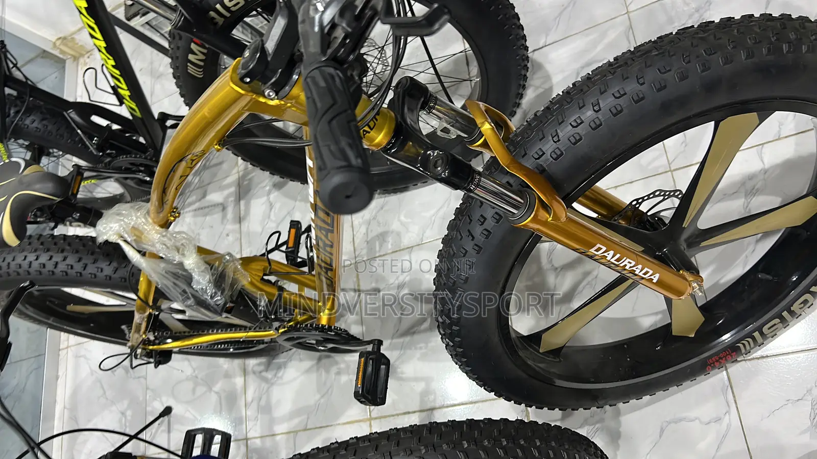 Fat Giant Tyre Bicycle