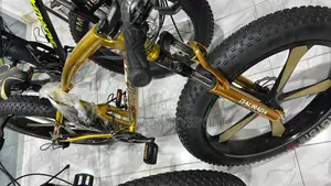 Fat Giant Tyre Bicycle