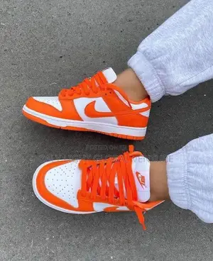 Nike SB Sneakers