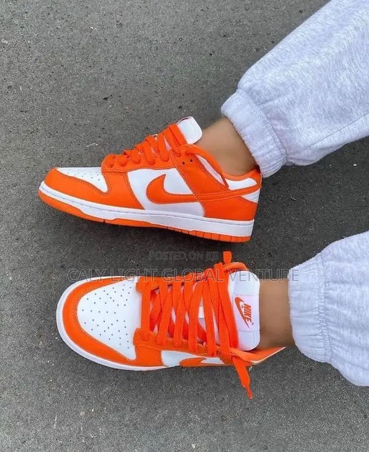 Nike SB Sneakers