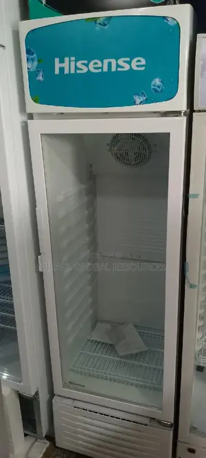 Hisense Standing Sheila 360l