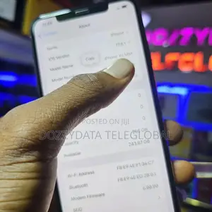 Apple iPhone XS Max 256 GB Silver