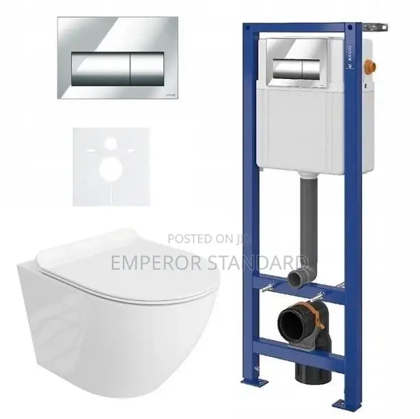 Wall Hung WC With Concealed