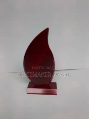 Photo - Standing Award