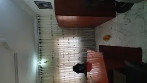 Premium Luxury Curtains