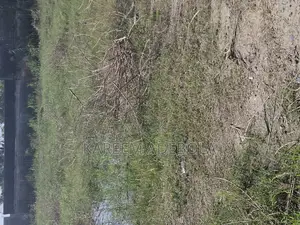 Photo - Commercial Land Along Meadow Hall School Ikate Lekki
