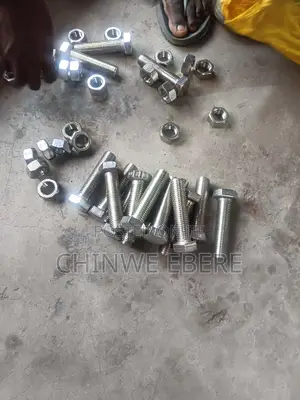 Stainless Steel Fasteners Bolts and Nut