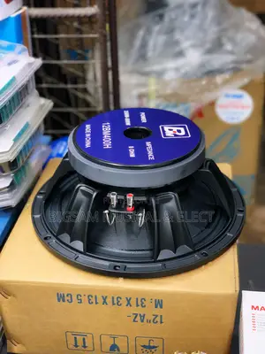 Bm 12inch 75.5coil Big Magnet