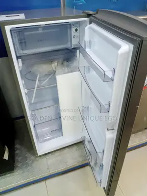Hair Thermocool Fridge