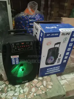 Professional Ailipu 15inches Public Address System