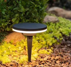 Garden Light Available for Sale