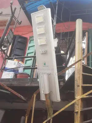 Standard Eurolight Solar Street Light