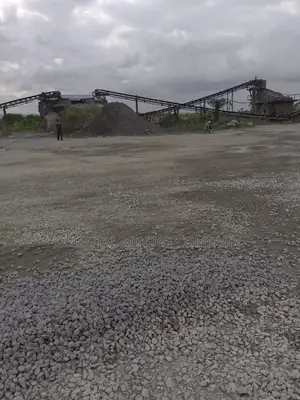 Iron Chippings From Oriental Mining Company