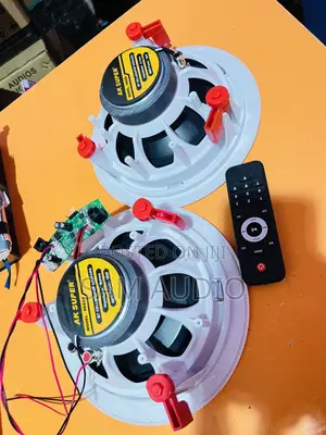 Two Way Bluetooth Ceiling Speaker With Remote