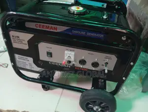 4.5 Kva Ceeman Manual Petrol Generator