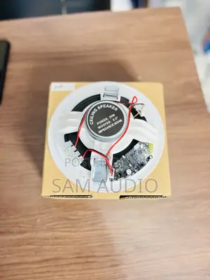 20watts Bluetooth Ceiling Speaker (Lax)