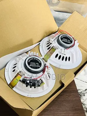 Bluetooth Ceiling Speaker