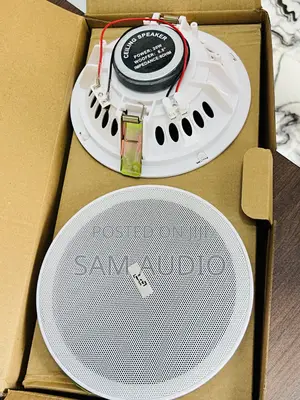 Bluetooth Ceiling Speaker