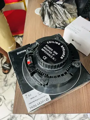 Crossover Ceiling Speaker