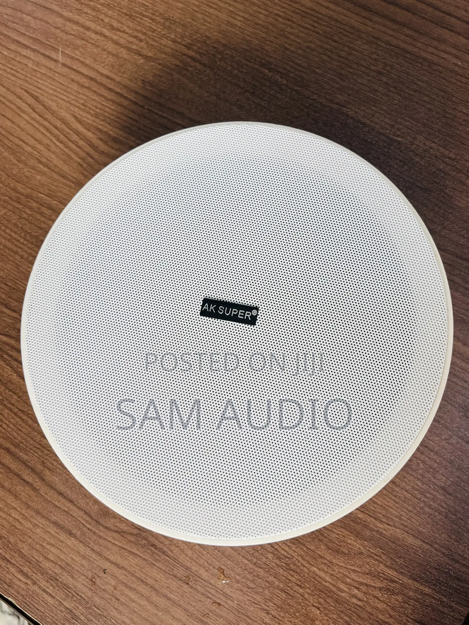 Rimless Ceiling Speaker 30watt