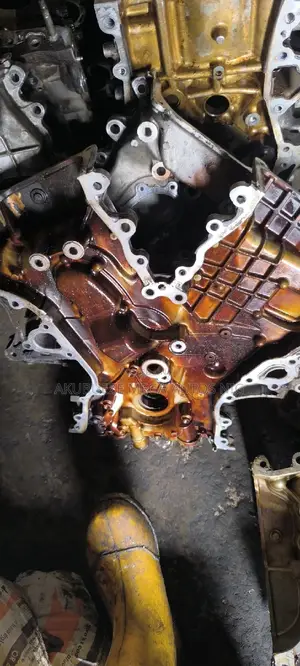 Direct Belgium Oil  Pump 2GR