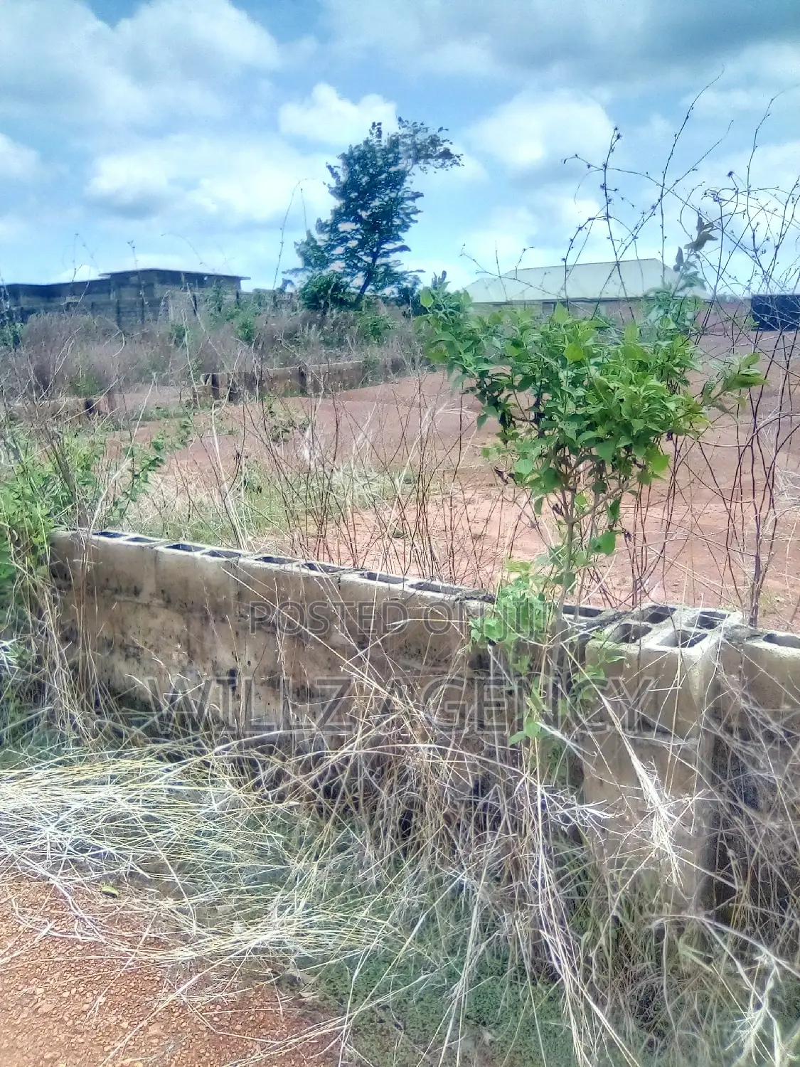 1 Plot of Land