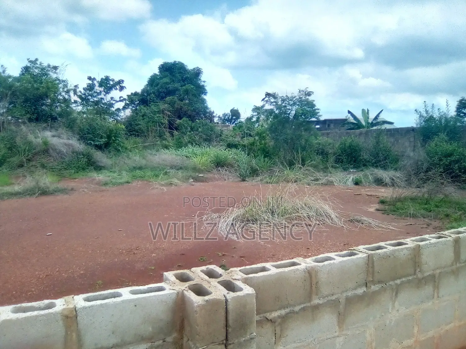 1 Plot of Land