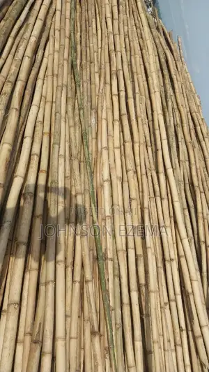 Iron Bamboo For Scaffolding
