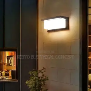 LED Outdoor Wall Lamp