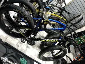 Flat Tyres Bike