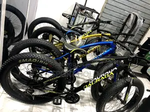 Big Flat Tyre Bike