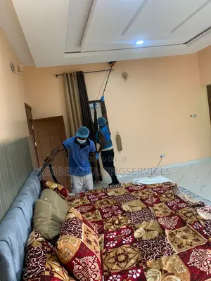 Upholstery Washing