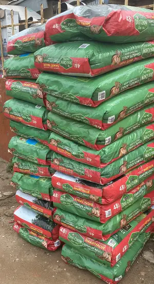 Dog Chow for Both Adults and Puppies