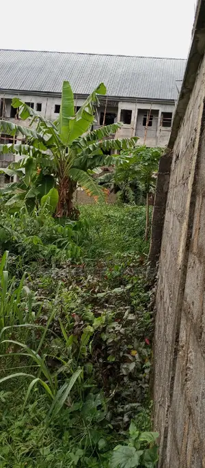 For Sale : 1 Plot of Land at Cedarwood Estate, Sars Rd , Ph