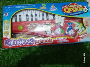 Electronic Organ