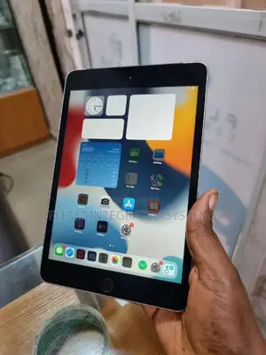 Apple iPad mini 4 128 GB Gray