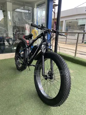 Frike Electric Vogue Classic 36 Volts Mountain Bike