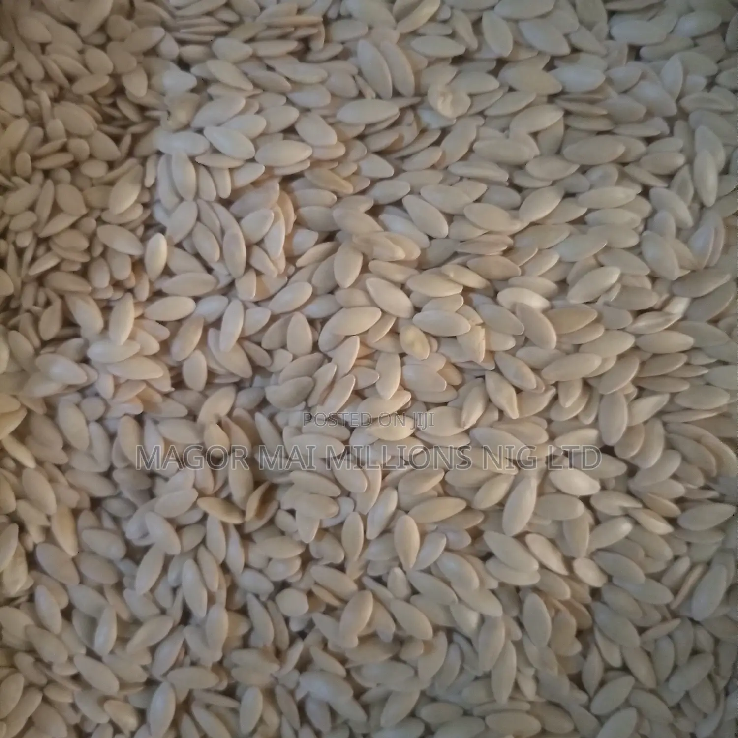 High Quality Seeds (Check Description for Prices)