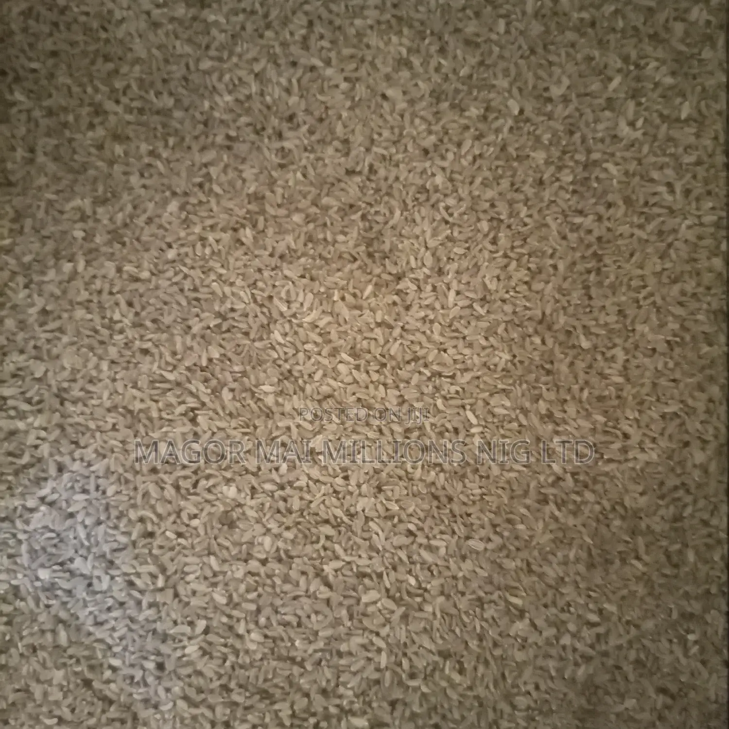 High Quality Seeds (Check Description for Prices)