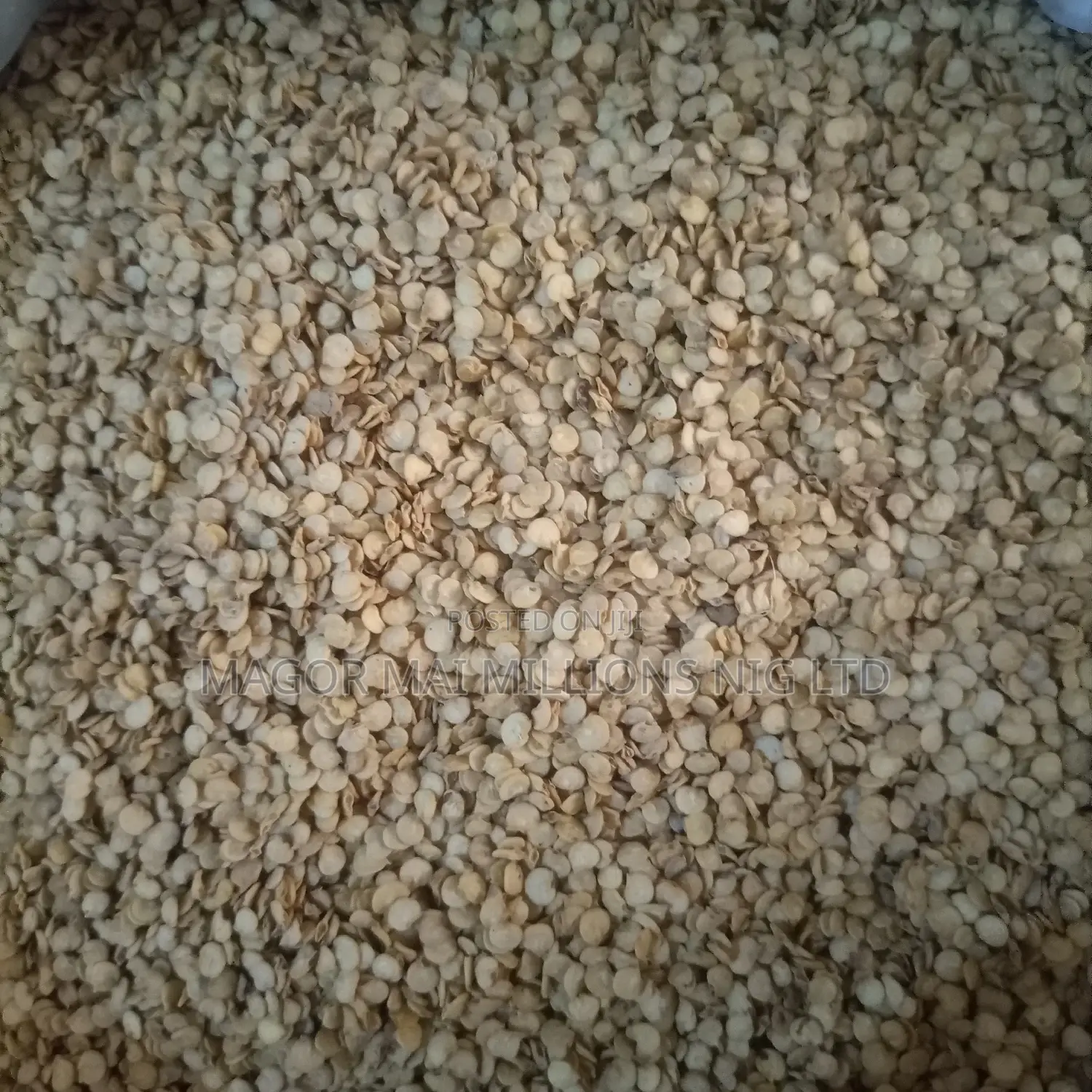 High Quality Seeds (Check Description for Prices)