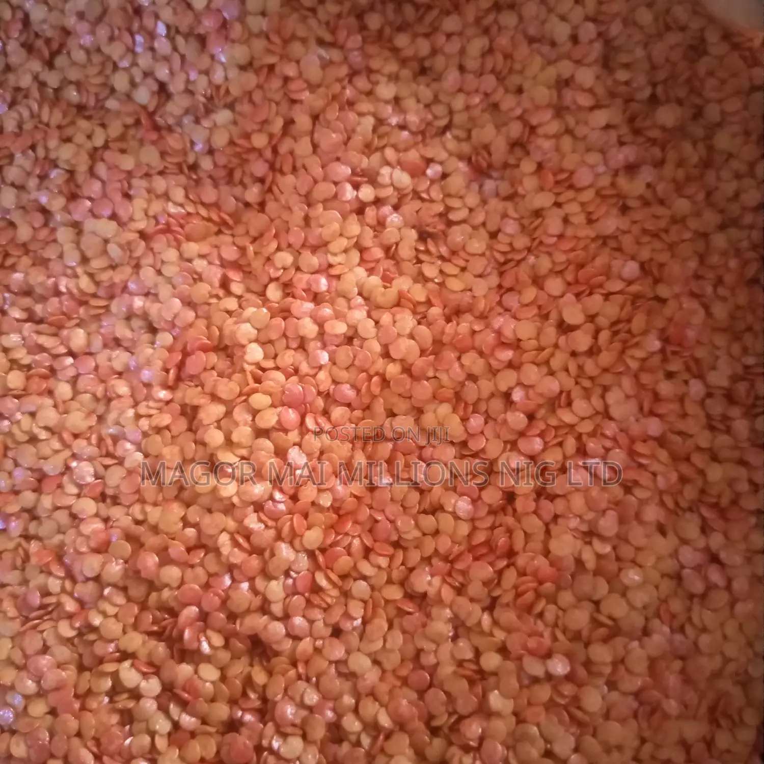 High Quality Seeds (Check Description for Prices)